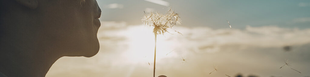 Què fem Fundació Pimec